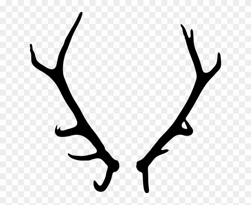 Deer Antlers Clipart Vector - Chifre Veado Png #528345