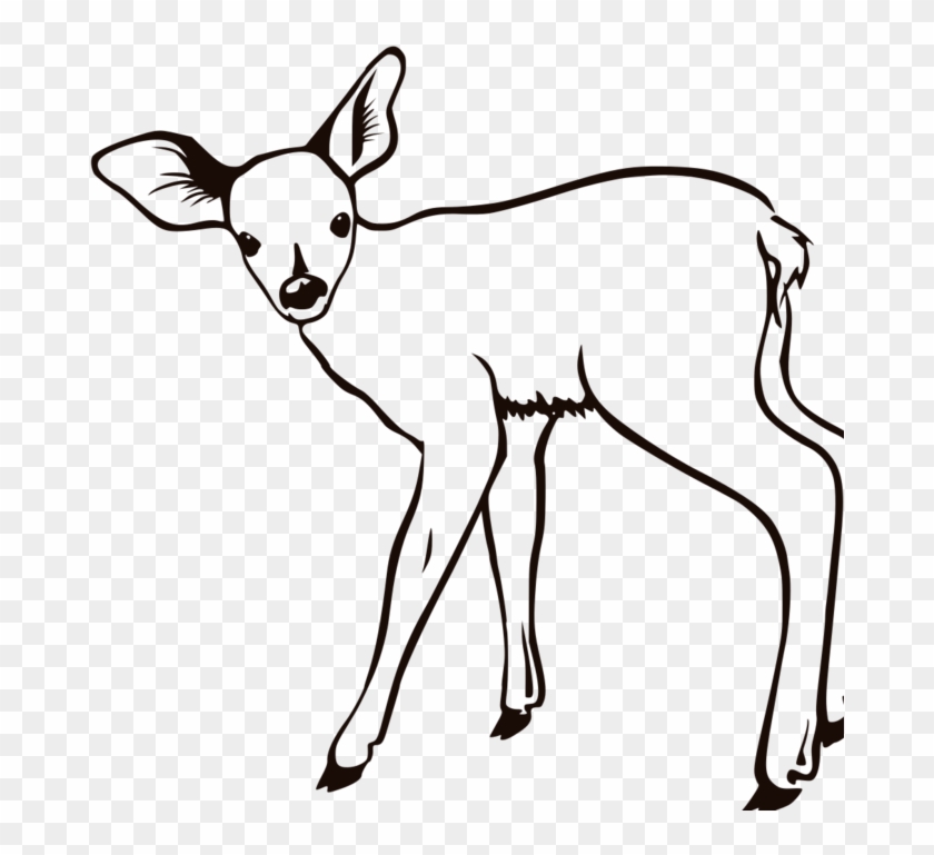 Buck Deer Clip Art Cliparts Co G1ii5l Clipart - Outline Pictures Of Animals #528348