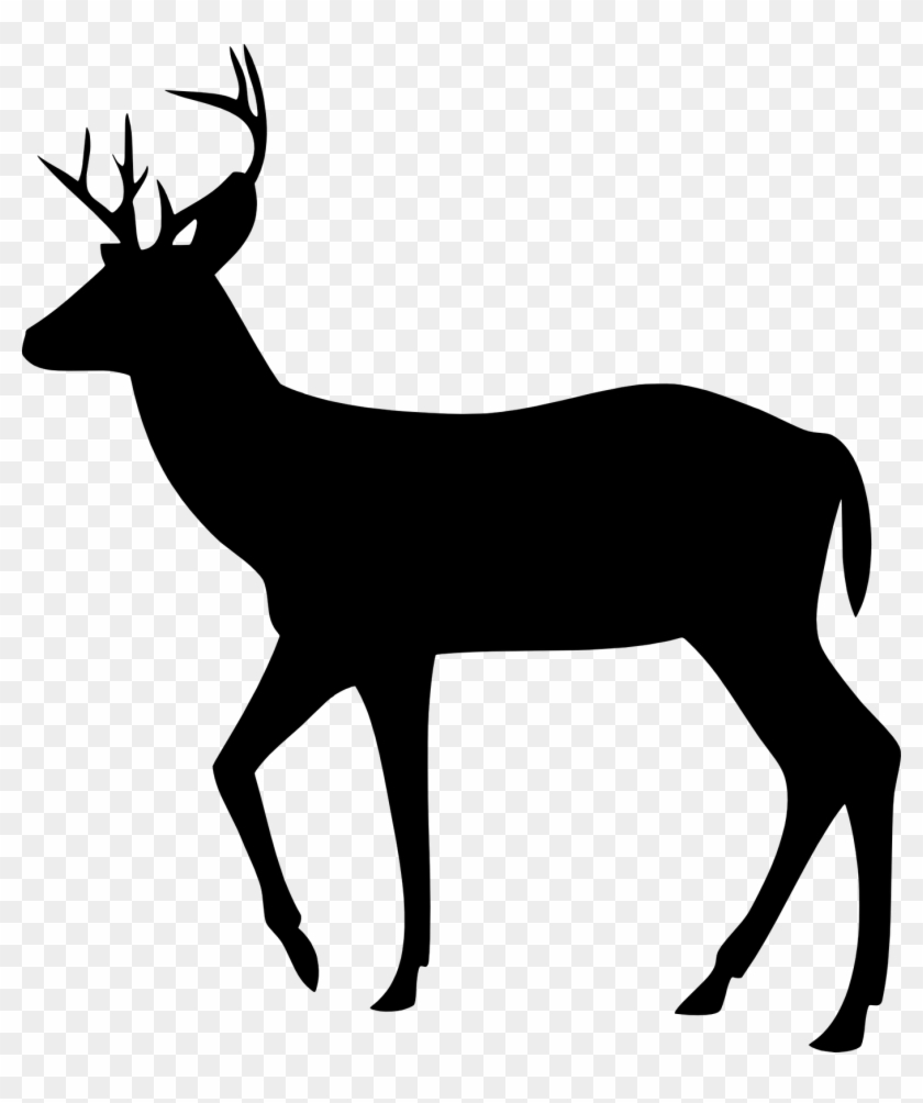 Free Svg Images - New Baby Congratulations Hunting Theme With Deer Card #528349