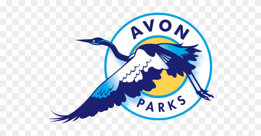 Avon #528889