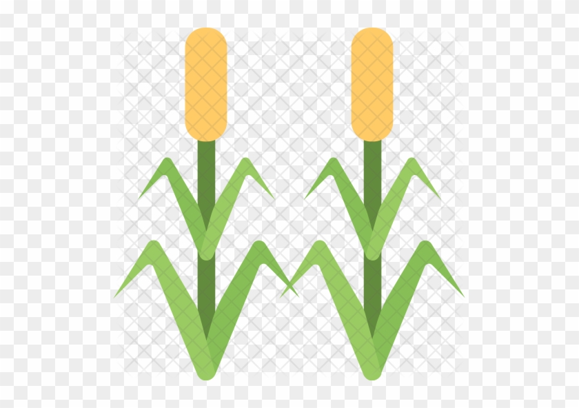 Corn Field Icon - Corn Field Icon #529593