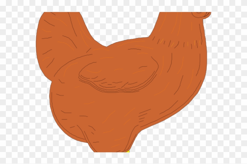 Rooster Clipart Brown - Duodenum #529656