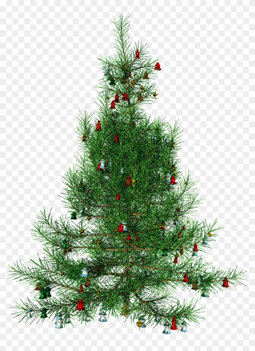 Image - Free Christmas Tree Transparent #529727