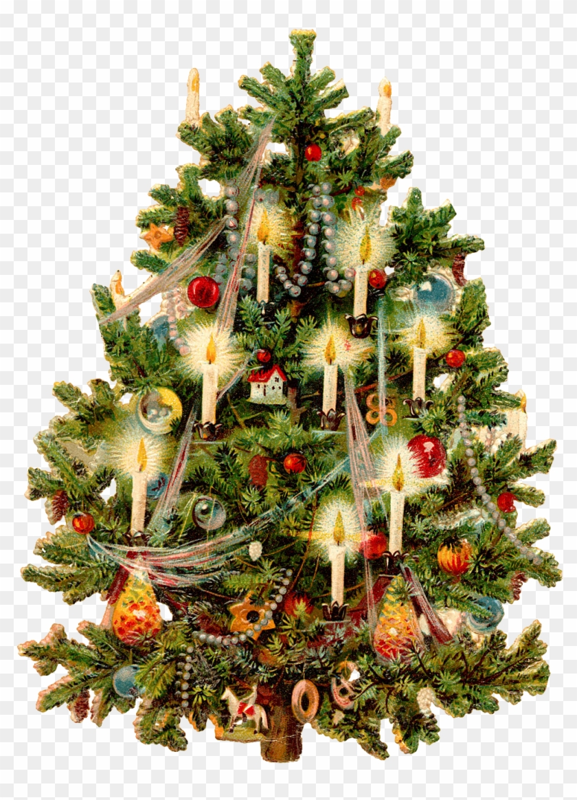 Image - Victorian Era Christmas Tree #529734