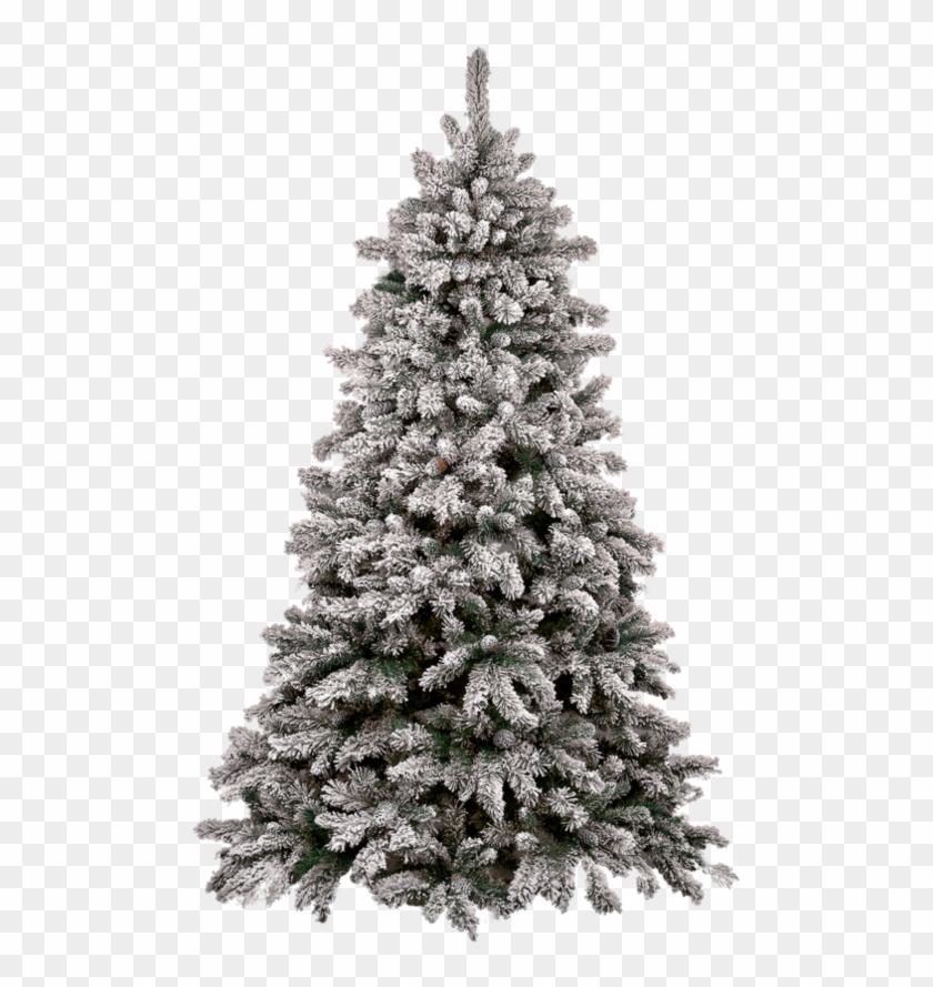 Christmas Tree Png - Christmas Tree Snow Png #529835