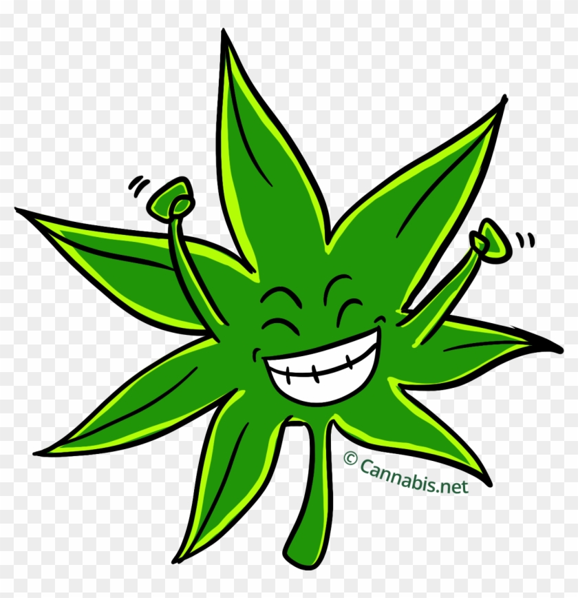 Euphoric - Euphoric #530025