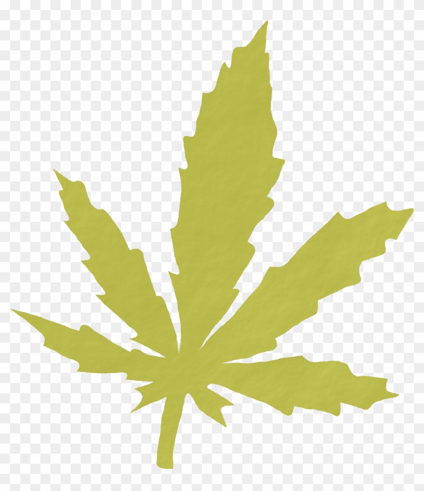 Cannabis Smoking Medical Cannabis Legality Of Cannabis - Cannabis Smoking Medical Cannabis Legality Of Cannabis #530127