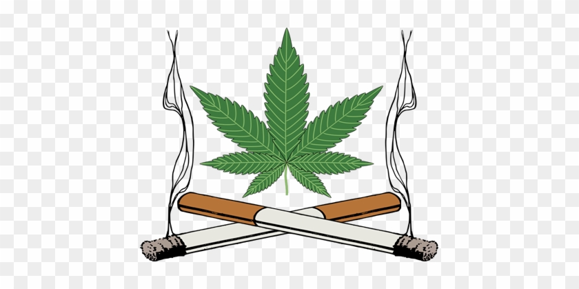 Marijuana Clipart Tobacco Leaf - Marijuana Leaf #530137