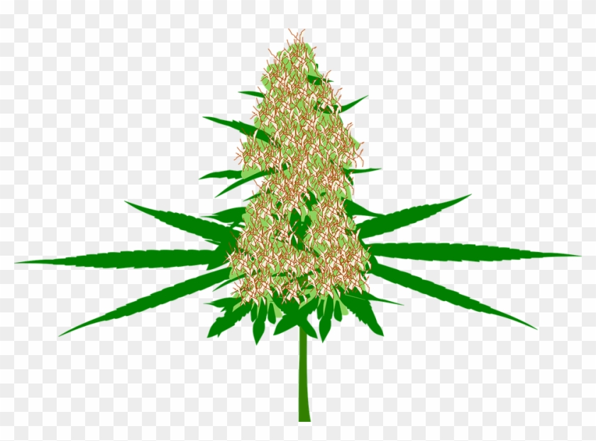 Marijuana Clipart 13, - Marihuana Png #530187