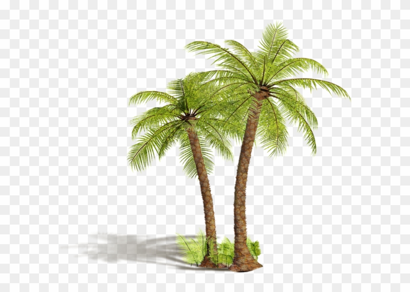 Arbre,tubes,png - Arbre Png #530218