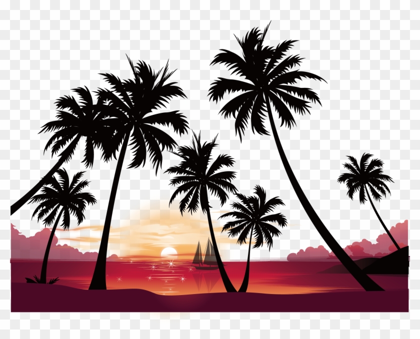 Puesta De Sol De Vídeo De Alta Definición De La Imagen - Palm Tree Sunset Background #530259