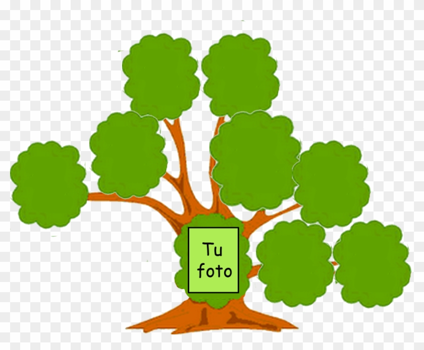 You Might Also Like - Arbol Genealogico Para Dibujar #530297