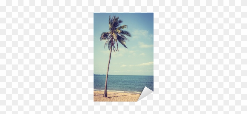 Vinilo Pixerstick Árbol De Coco En La Playa Tropical - Sea #530316