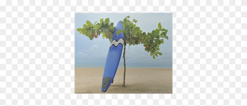 Póster Tabla De Surf Se Inclina Contra Árbol En La - Wanderlust #530326