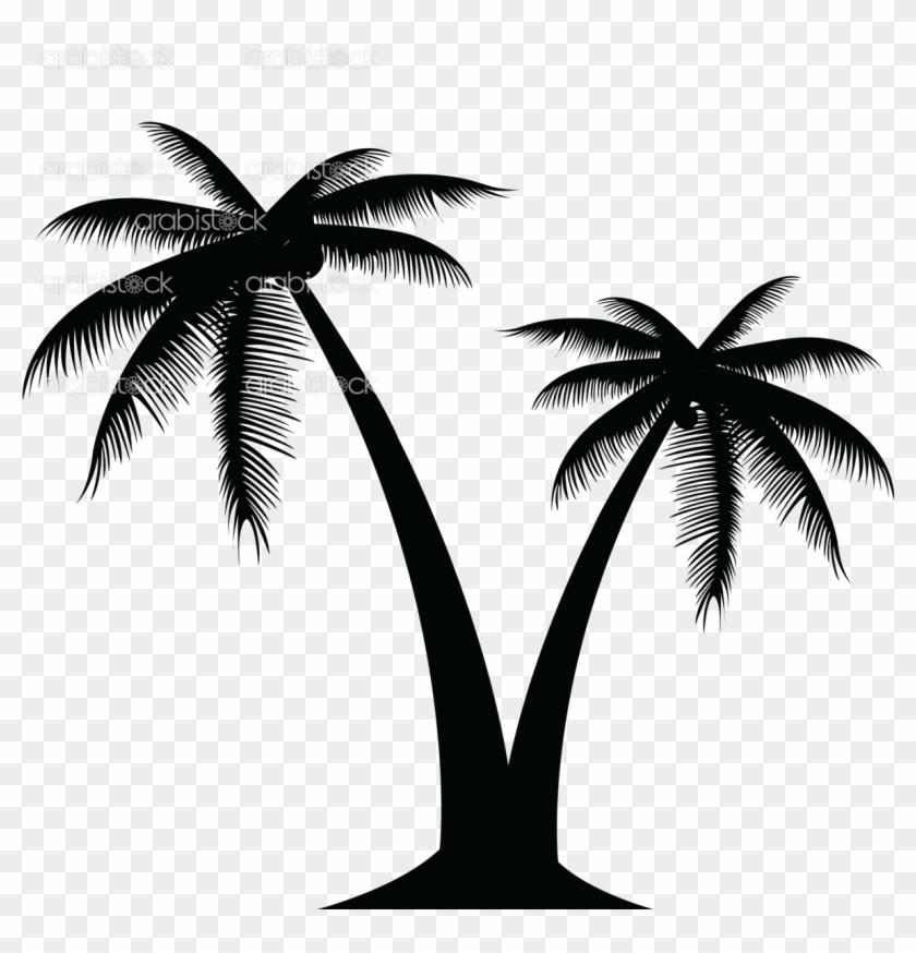 Palm Tree - Transparent Background Palm Tree Png #530341