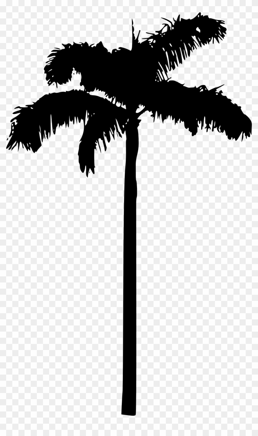 Free Download - Palm Tree Without Background #530350