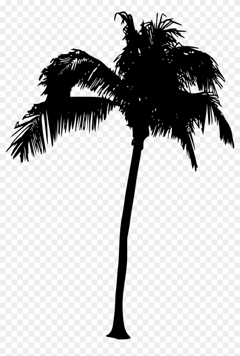Free Download - Palm Tree Silhouette #530355