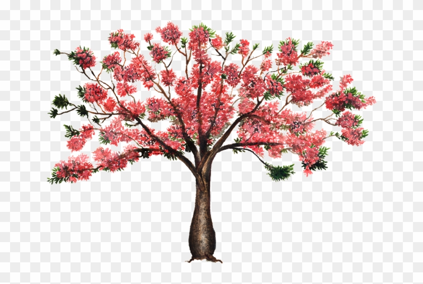 Seda Seda Árbol De La Flor De La Flor De La Planta - Arbol Palo Borracho Png #530354