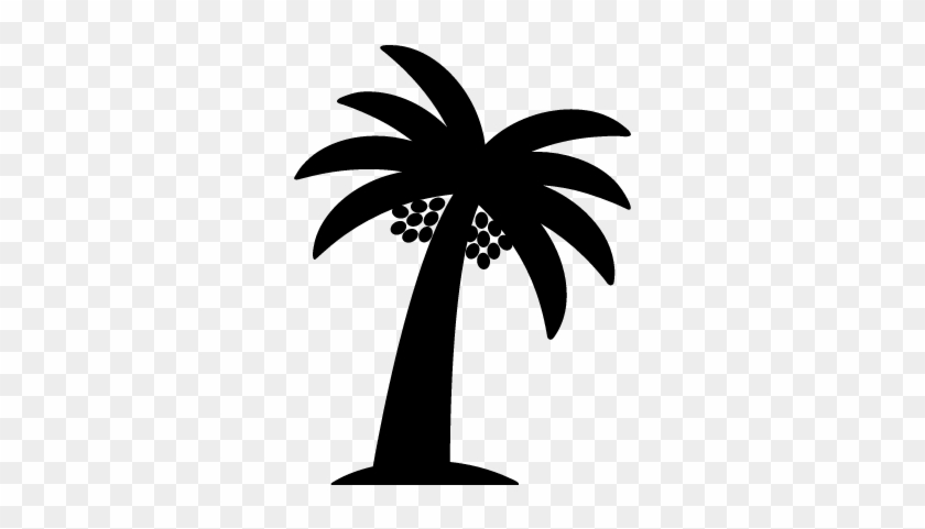 Palm Tree With Date Vector - Date Palm Tree Vector #530357