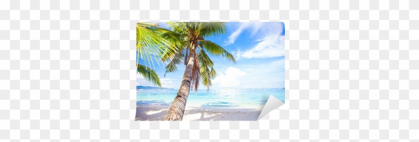 Fotomural Árbol De La Palma De Coco En La Playa De - Caribbean #530362