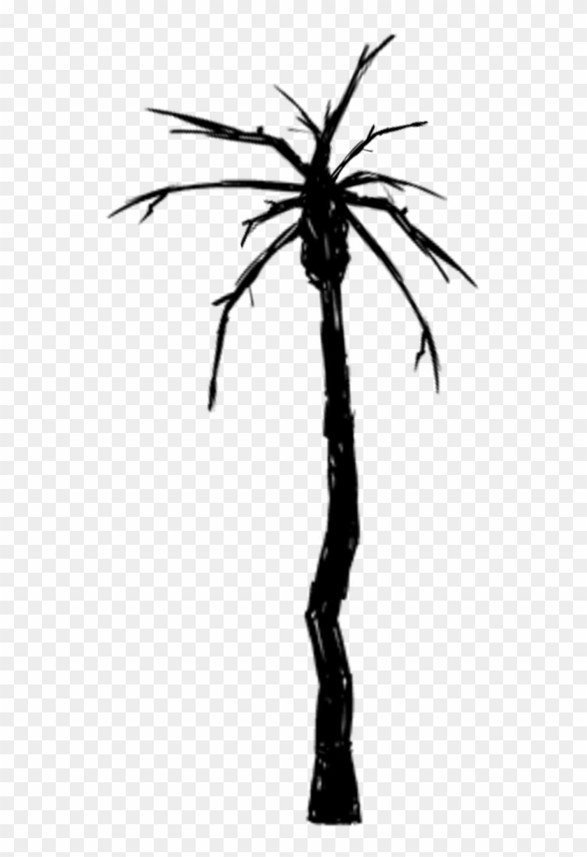 Palm Tree Burnt - Wiki #530373
