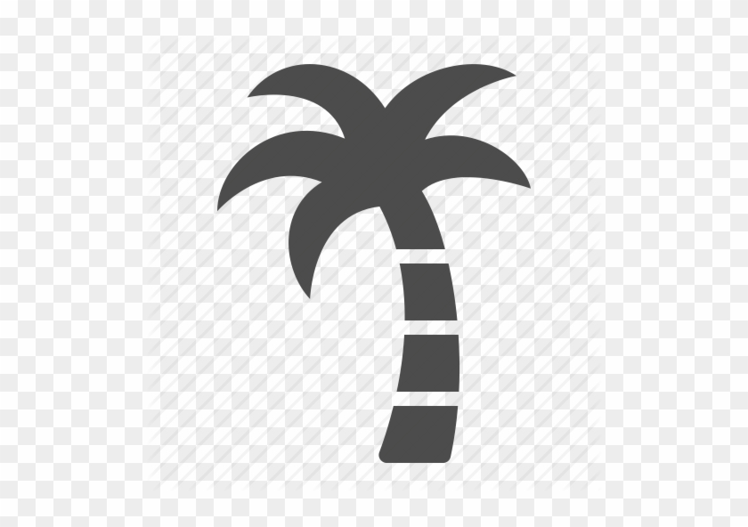 Palm, Tree Icon - Tropical Palm Tree Icon #530390