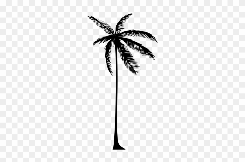 Palm Tree Png Transparent Images Group - Coconut Tree Png Silhouette #530403