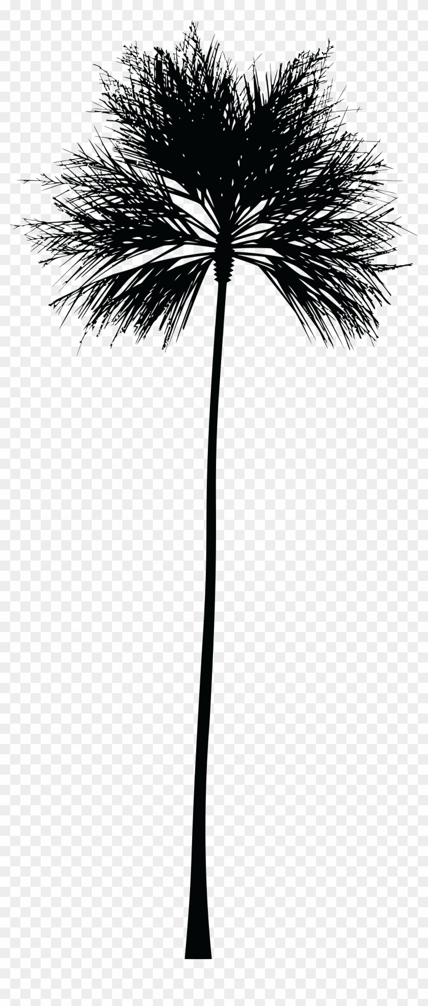 Free Clipart Of A Palm Tree - Free Clipart Of A Palm Tree #530447