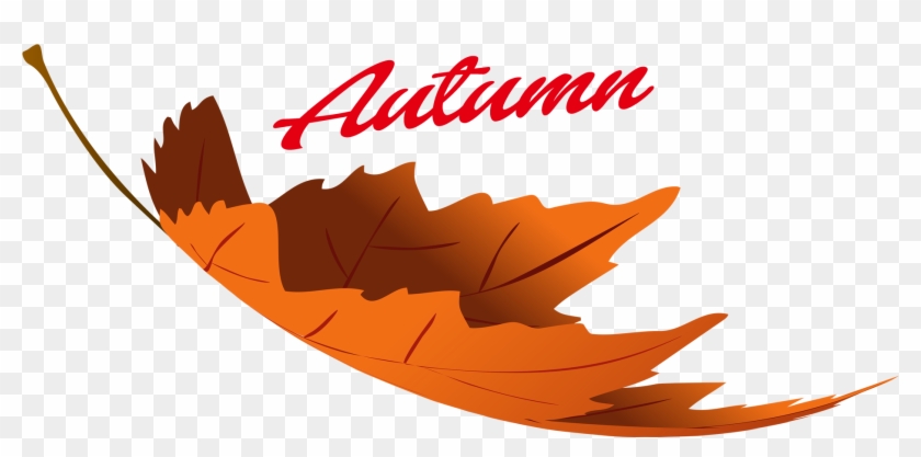 Autumn Leaves Png Image - Portable Network Graphics #530439