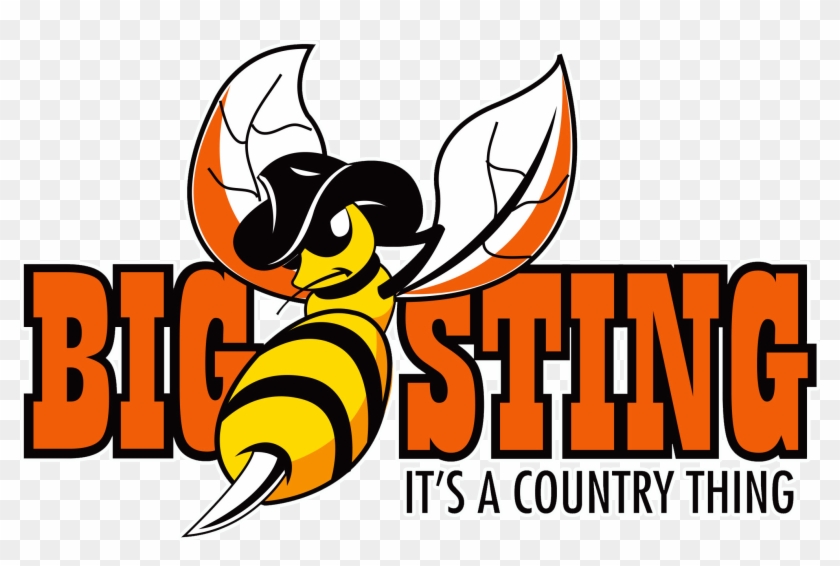 The Big Sting It's A Country Thing, James Otto, Craig - Music Festival #530780