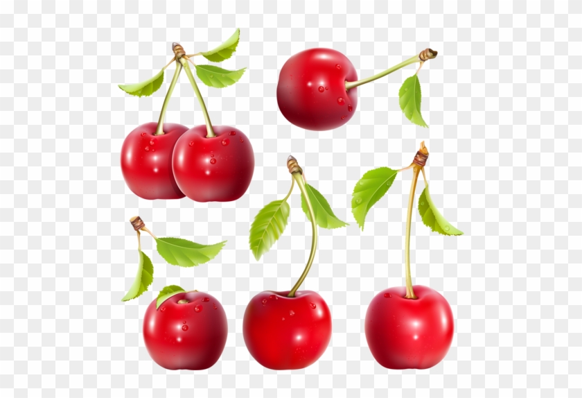 Clip Art - Free Vector Cherry #530798