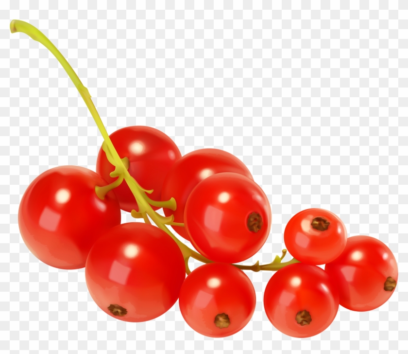 Red Currants Png Clipart Best Web Clipart - Red Currant Png #530824
