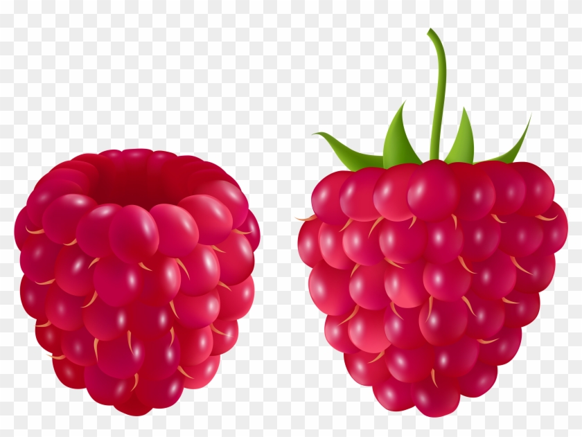 Berry Clipart Blue Raspberry - Clip Art Raspberry #530850
