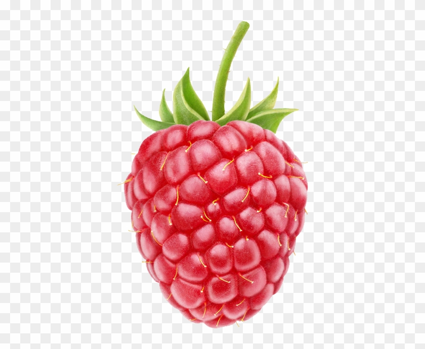 Red Berries Clip Art - Raspberry Png #530898