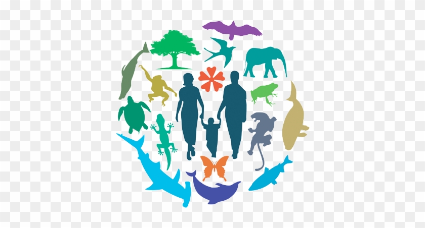 Each Year, 22 May Is Celebrated As World Biodiversity - Biodiversity And International Trade #530919