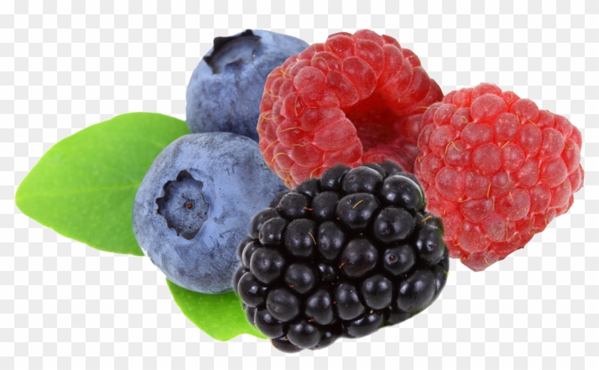 Fruit - Berries Clipart #530924