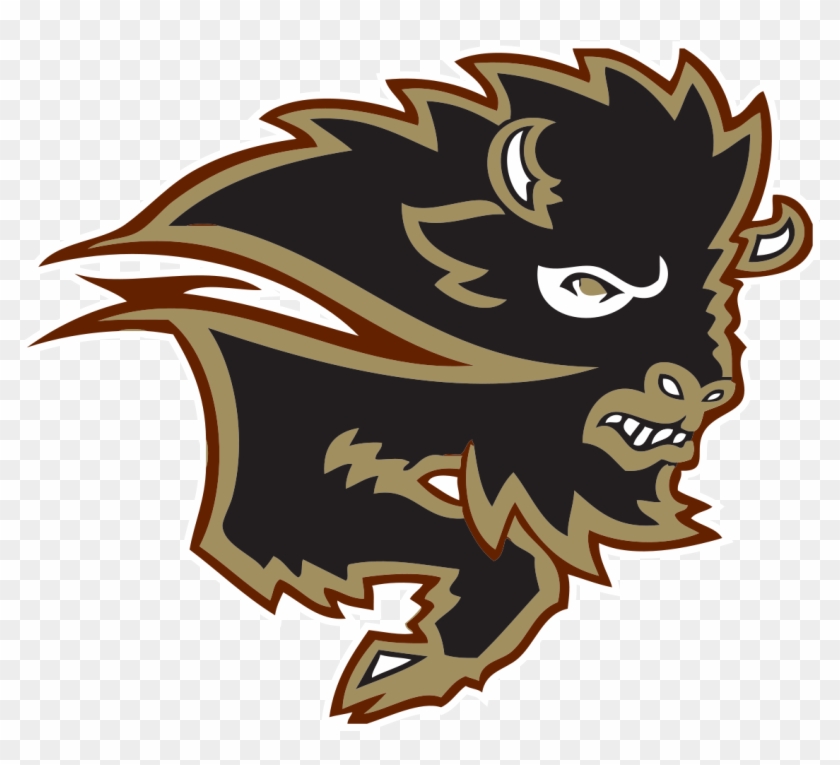 University Of Manitoba Bisons #530971