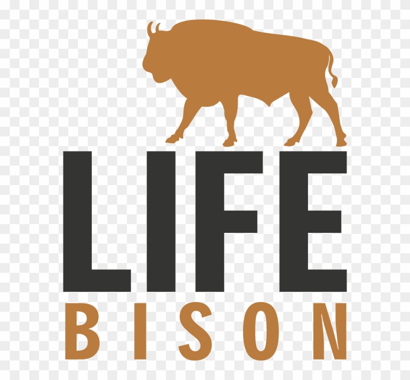 More Information About The Life-bison Project Can Be - More Information About The Life-bison Project Can Be #531058