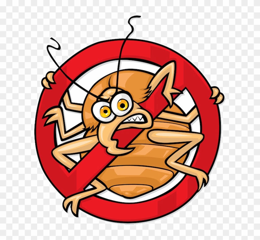 Bed Bugs Are An Infestation Which Can't Be Neglected - No Bed Bugs Sign #531151