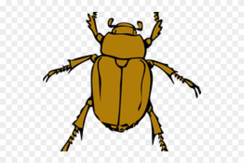 Dead Bug Cliparts - Beetle Bug #531195