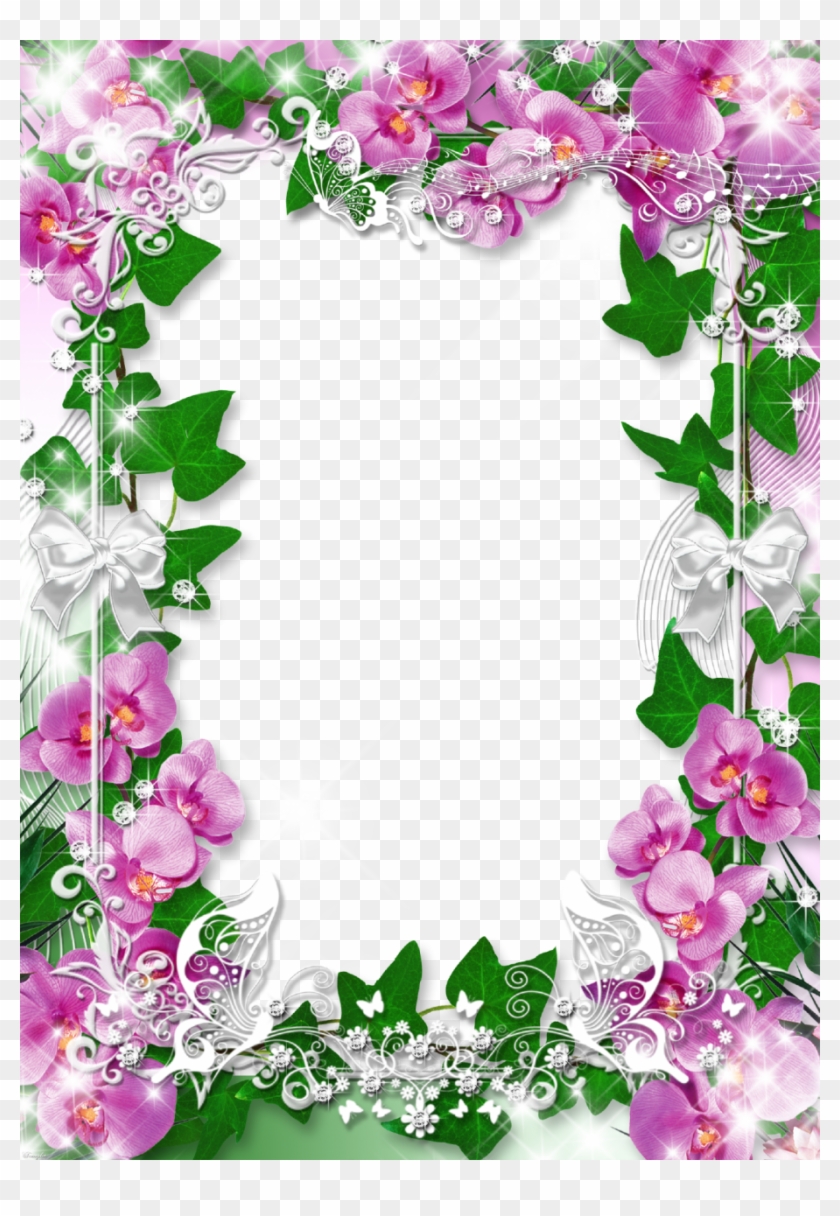 Frame, Studio, House, Flower Backgrounds, 1, Style, - Orchids Borders And Frames #531422