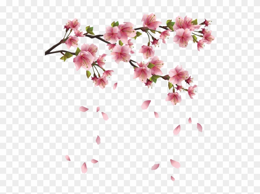 Spring Png Transparent Images - Sakura Blossom - Japanese Cherry Tree King Duvet #531482
