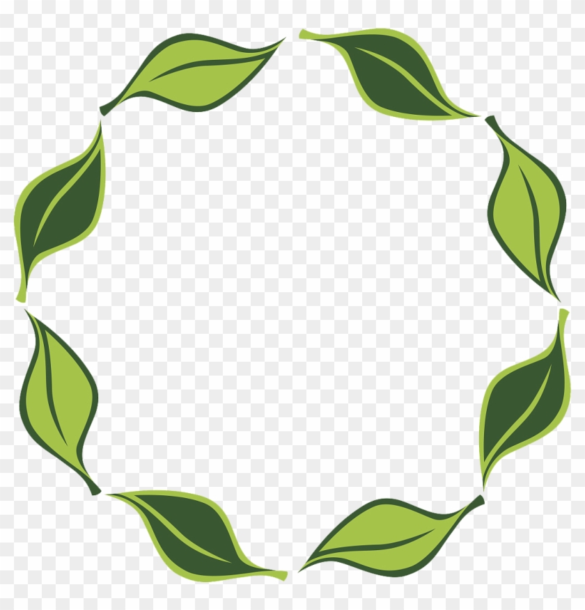 Vector Leaf Circle 1024*1021 Transprent Png Free Download - Vector Leaf Circle 1024*1021 Transprent Png Free Download #531586