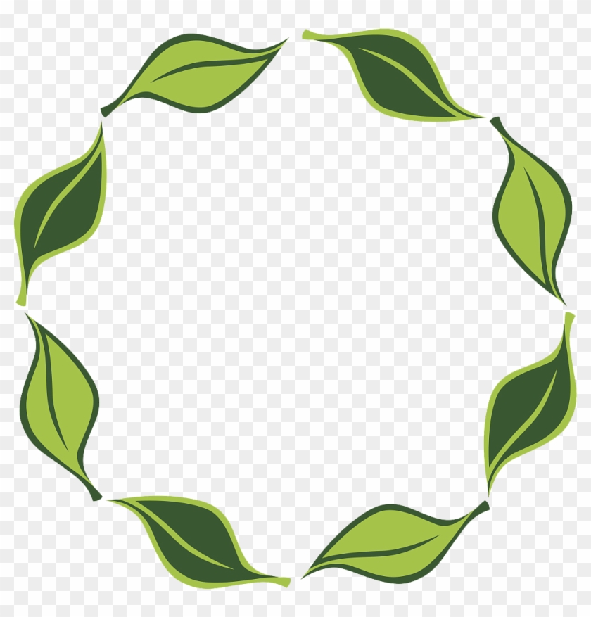 Vector Leaf Circle 1024*1021 Transprent Png Free Download - Vector Leaf Circle 1024*1021 Transprent Png Free Download #531586