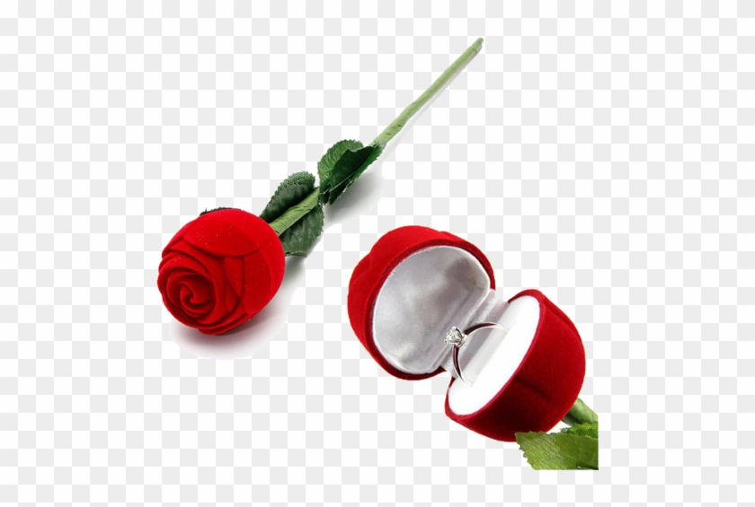 Velvet Red Rose Jewellery Ring Box /ring Holder Best - Rose Box For Ring #531631