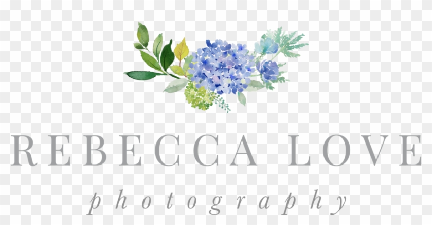 Rebecca Love Photography Nantucket Wedding Photographer - Rebecca Love Photography Nantucket Wedding Photographer #531755