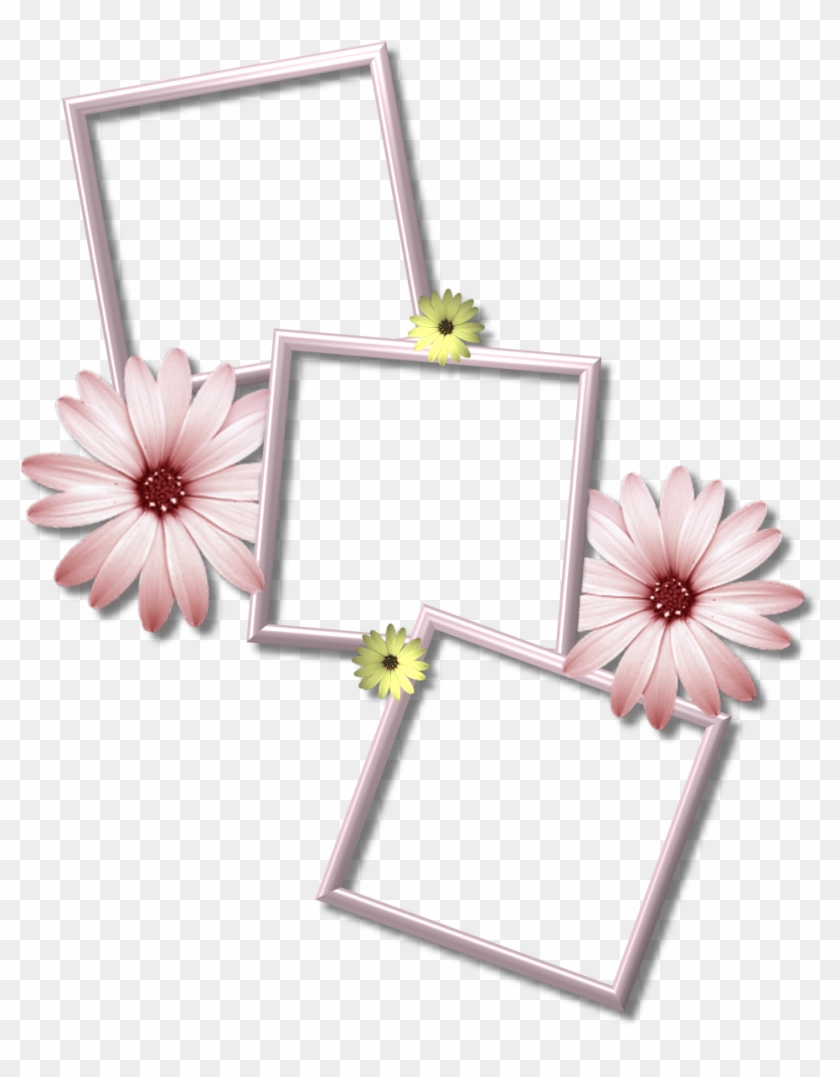 Collage Frame Png Transparent Images - Multiple Picture Frame Png #531897