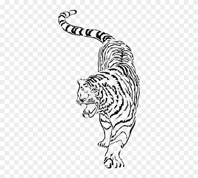 Whiskers South China Tiger Drawing - Whiskers South China Tiger Drawing #532245