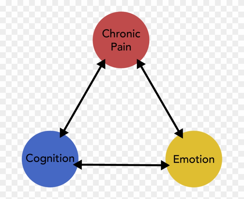 Understanding The Connections - Pain #532405