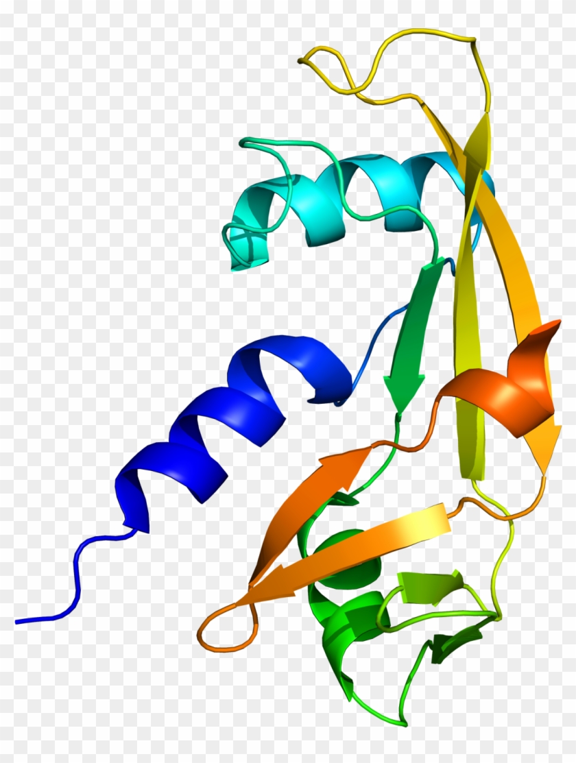 The Team Produced 11 3d Images Of Mutant Versions Of - Bath #532472